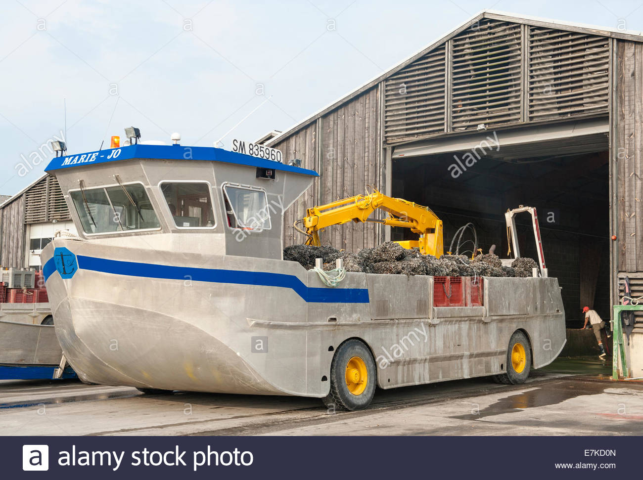 amphibious-boat-used-for-harvesting-mussels-at-le-vivier-sur-mer-in-E7KD0N.jpg