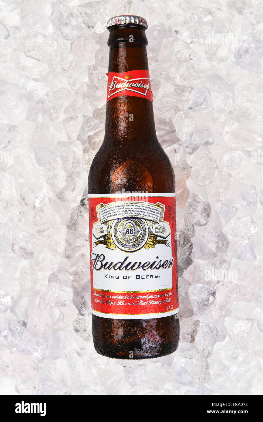 closeup-of-a-budweiser-beer-bottle-on-a-bed-of-ice-vertical-format-FKA072.jpg