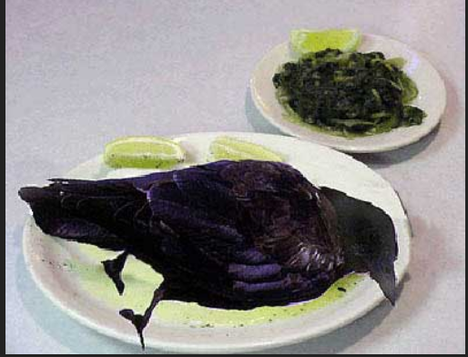 crow.PNG