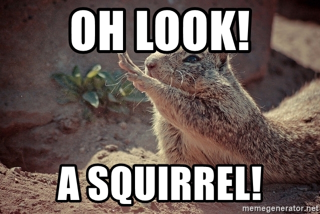 oh-look-a-squirrel.jpg